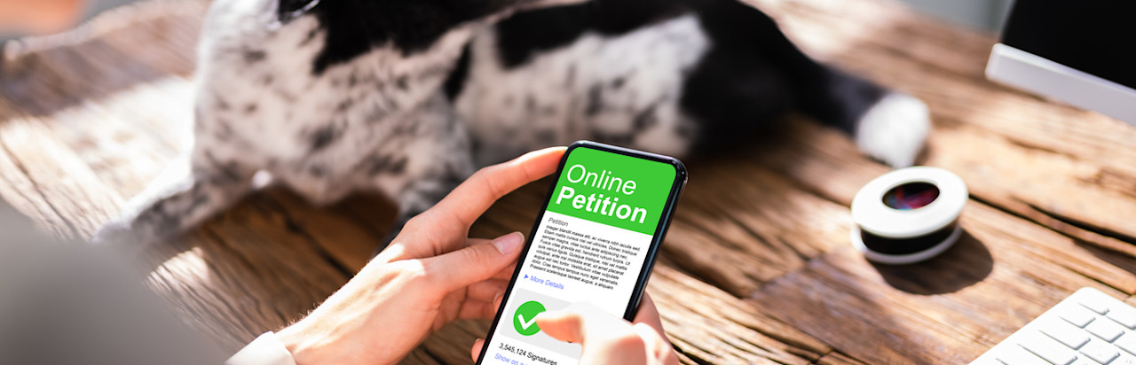5 tips on advocacy communication: How to stay in touch with your supporters